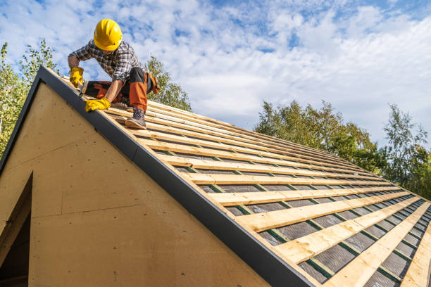 Roof Gutter Cleaning in Granby, MO
